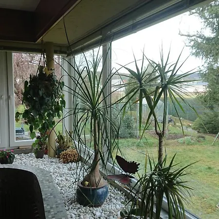 アパート Ferienwohnung Erlenbach *