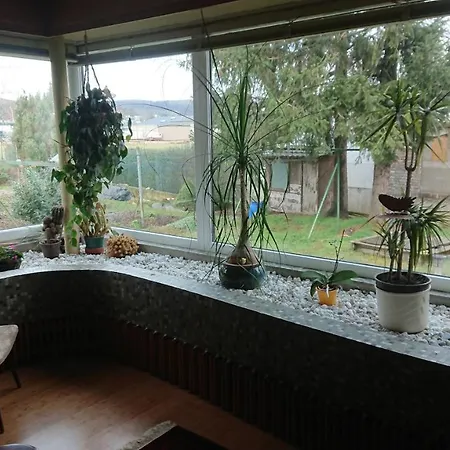 Ferienwohnung Erlenbach * バート・ノイェンアール・アールヴァイラー